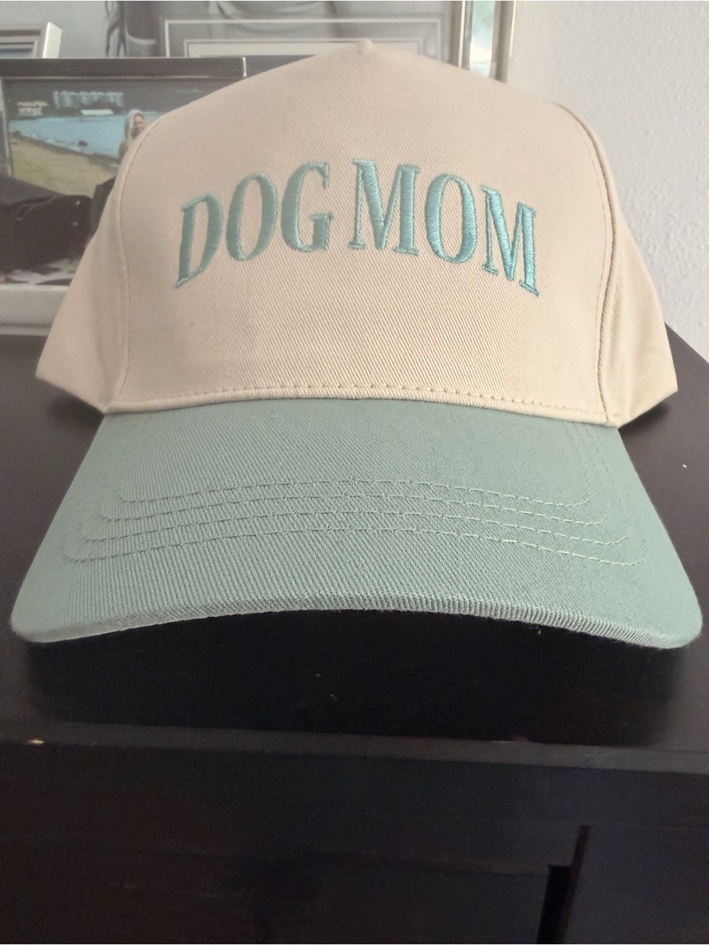 David and Young 'DOG MOM' Two-Tone Cap in Beige and Mint